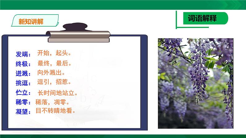 人教版语文七年级下册第五单元18《紫藤萝瀑布》课件PPT第6页