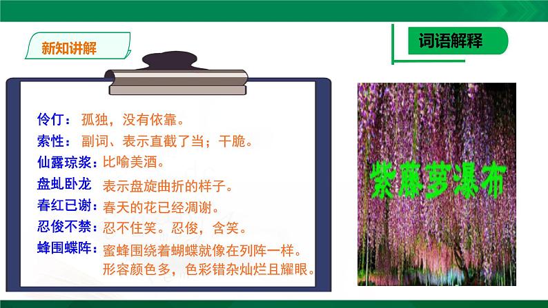 人教版语文七年级下册第五单元18《紫藤萝瀑布》课件PPT第7页