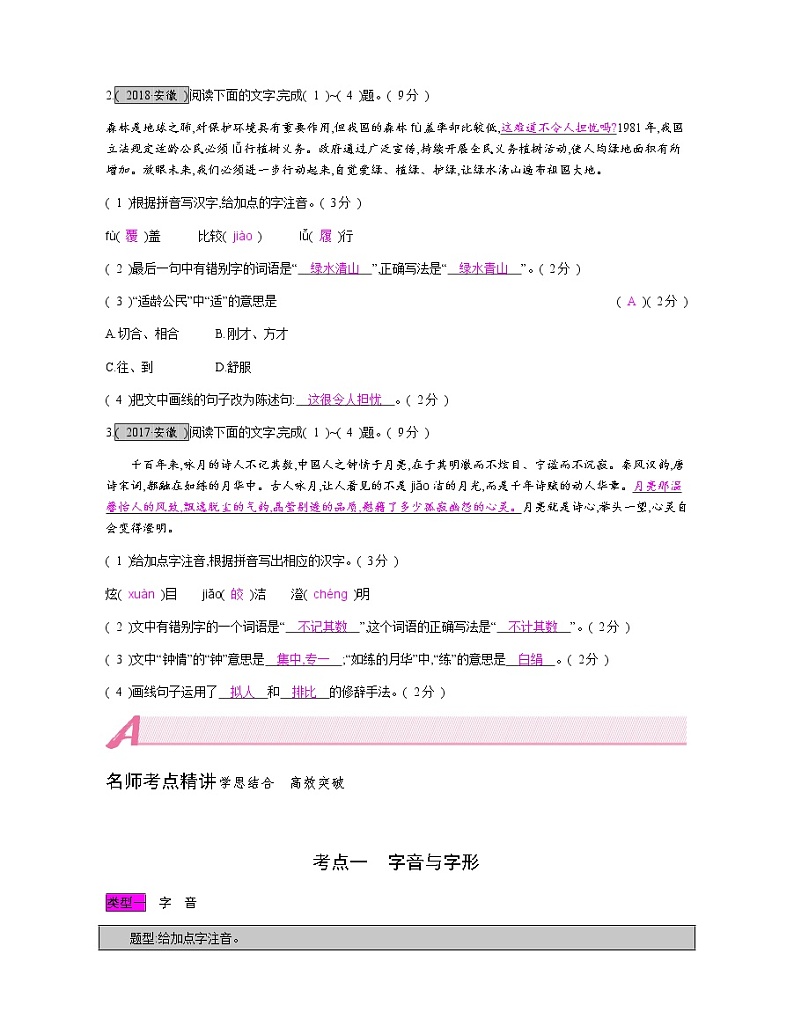 考点一　字音与字形 教案03