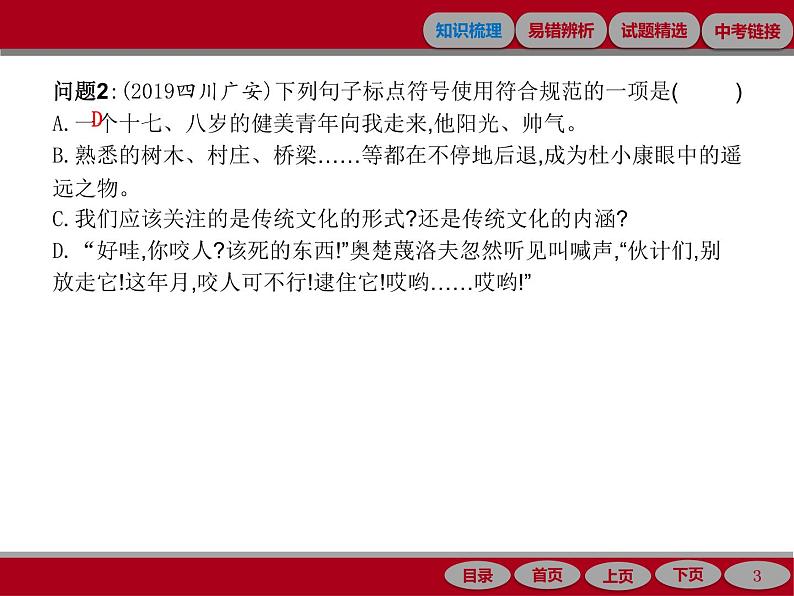 专题四　标点符号应用第3页