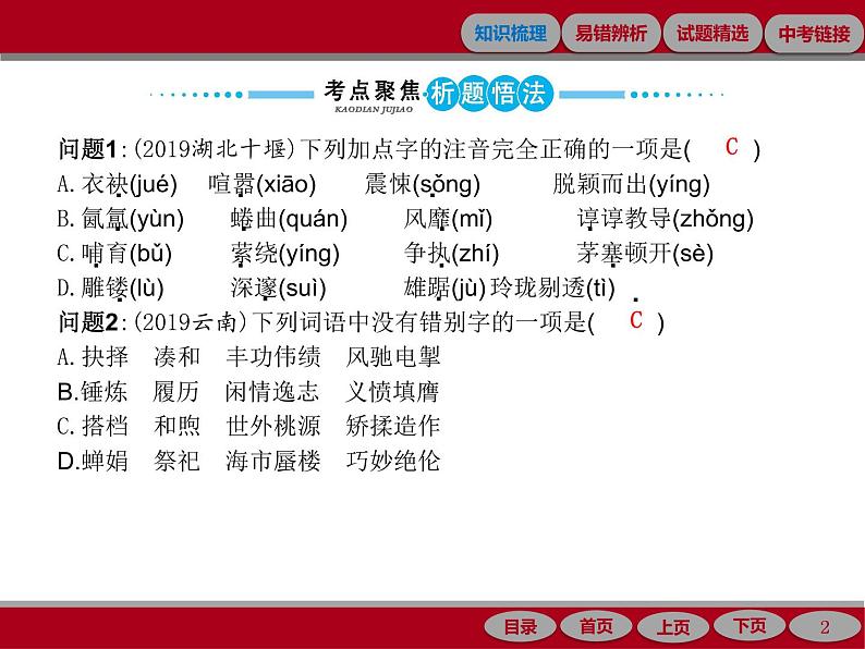 专题一　字音与字形02