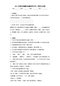 2021年湖北省襄阳市襄州区中考一模语文试题(word版含答案）