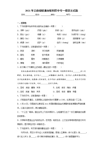 2021年云南省昭通市昭阳区中考一模语文试题(word版含答案）