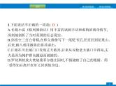 专题六　文学文化常识与名著阅读