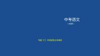 第三部分 13专题十三　非连续性文本阅读 讲练课件—2021年中考语文专项复习 通用版