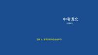 第一部分 07专题七　语言运用与综合性学习 讲练课件—2021年中考语文专项复习 通用版