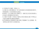 专题六　文学文化常识与名著阅读