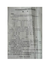 2020年河南省郑州市中考语文真题（含答案）