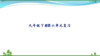 初中第六单元单元综合与测试复习ppt课件