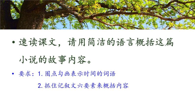 《植树的牧羊人》教学课件04