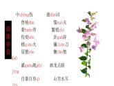 人教版语文九年级上册第五单元20《创造宣言》课件PPT