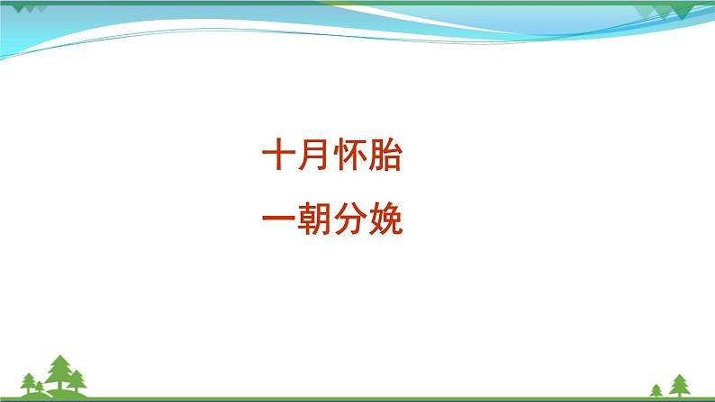 【部编版】七年级下册语文 第4单元 综合性学习 孝亲敬老，从我做起（教案+课件）08