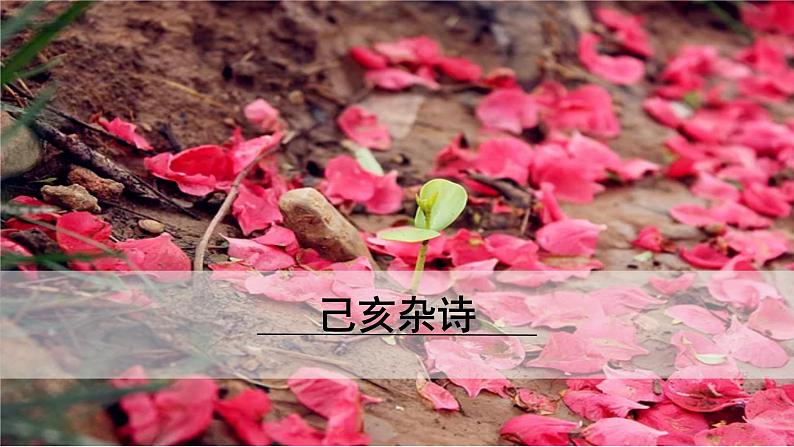 5.己亥杂诗（其五）第1页