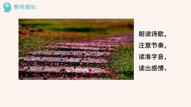 5.己亥杂诗（其五）第5页