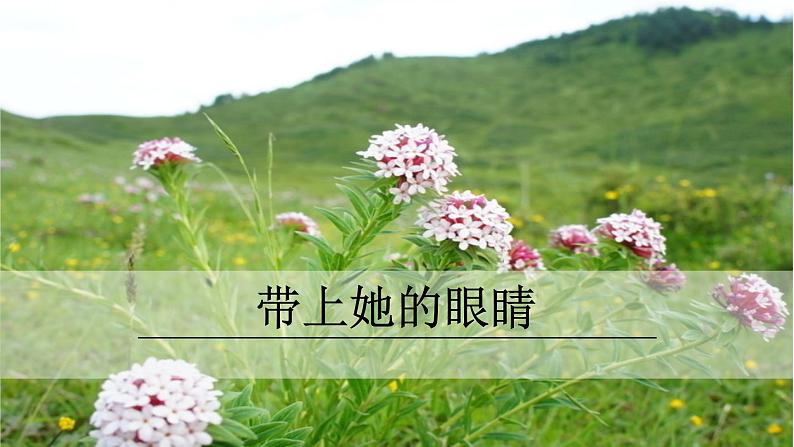 【部编版】七年级下册语文 24《带上她的眼睛》（课件+教案+说课稿+素材）02