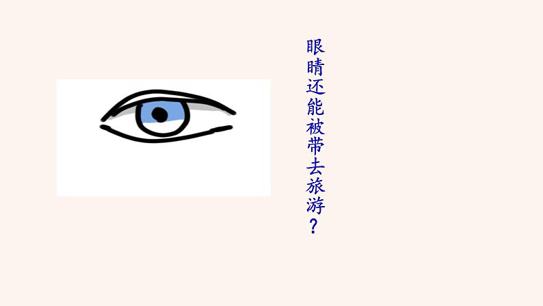 【部编版】七年级下册语文 24《带上她的眼睛》（课件+教案+说课稿+素材）04
