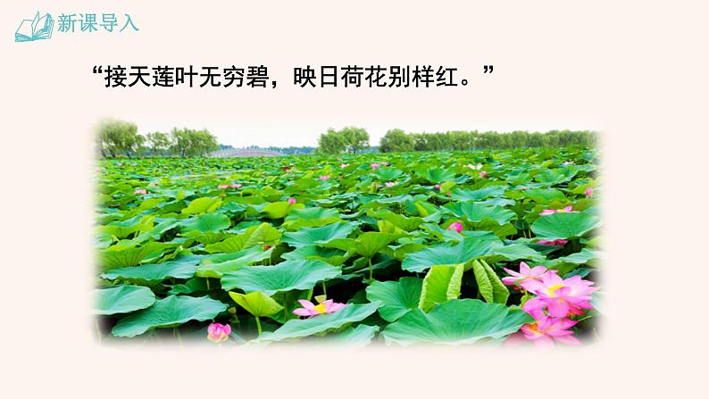 【部编版】七年级下册语文 17《 短文两篇》（课件+教案+说课稿+素材）01