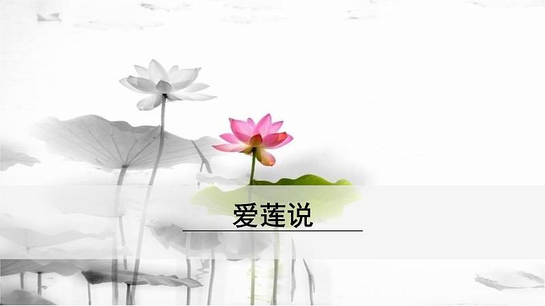 【部编版】七年级下册语文 17《 短文两篇》（课件+教案+说课稿+素材）03
