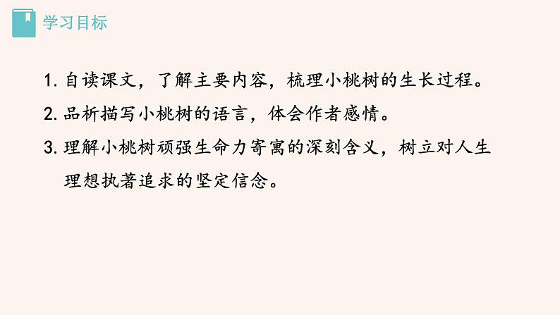 【部编版】七年级下册语文 19《一棵小桃树》（课件+教案+说课稿+素材）03