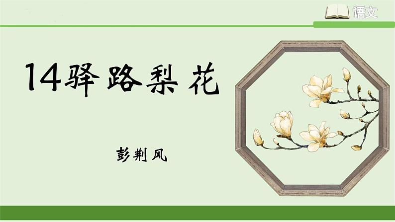 人教版语文七年级下册第四单元15《驿路梨花》课件PPT第1页