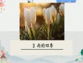 3、雨的四季 课件