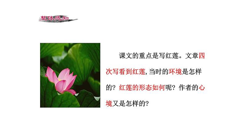 7、散文诗两首 课件06