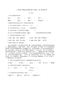 人教部编版语文八年级下册期末专题复习：01字音字形