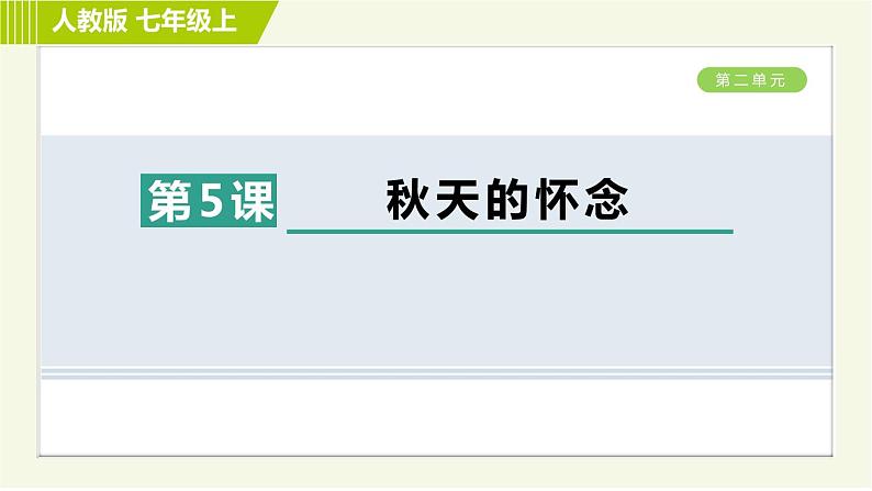 人教部编版语文七年级上册课件5. 秋天的怀念01