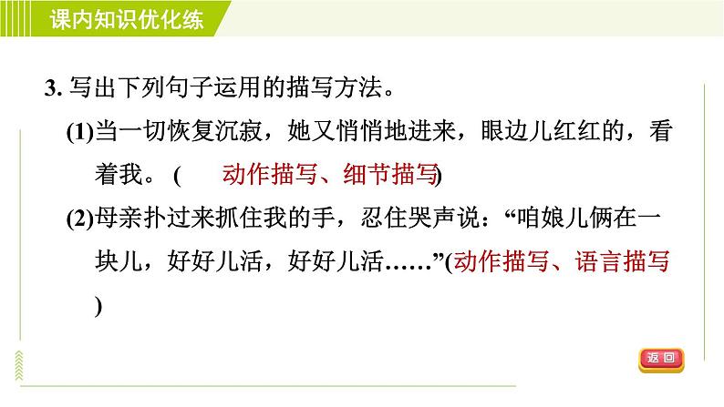 人教部编版语文七年级上册课件5. 秋天的怀念08