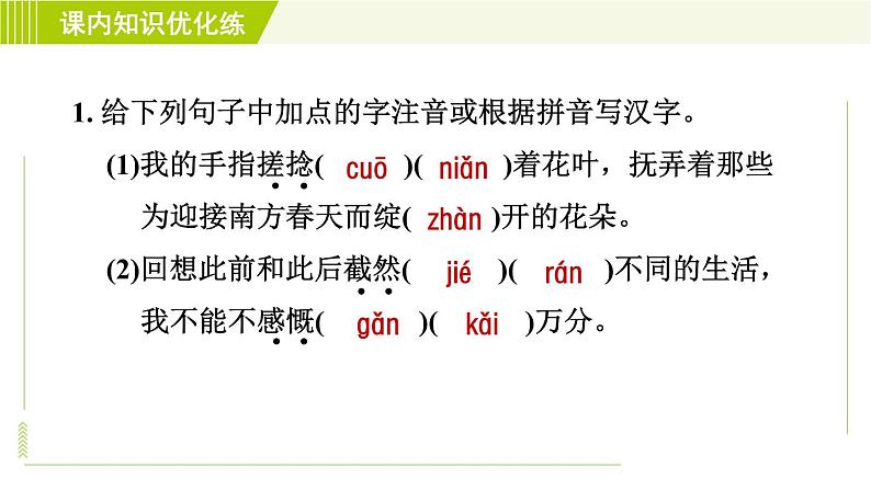 人教部编版语文七年级上册课件第三单元10. 再塑生命的人第5页