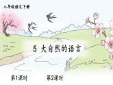5 大自然的语言（优质课件+教案）