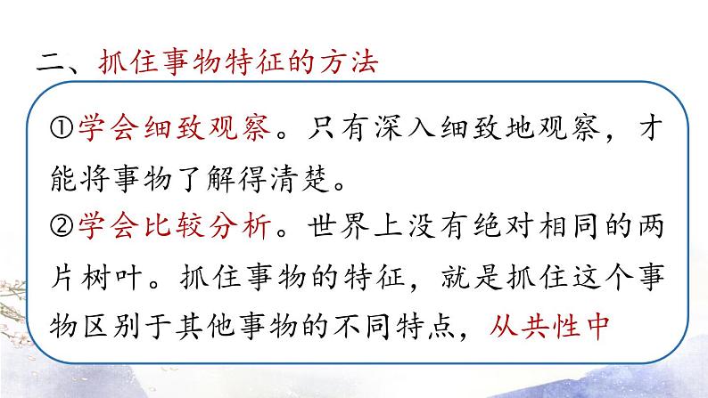 第5单元 写作：说明事物要抓住特征 课件 2021--2022学年部编版八年级语文上册08