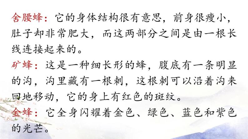 第5单元 名著导读：《昆虫记》课件 2021--2022学年部编版八年级语文上册08