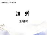 第21课《蝉》课件 2021--2022学年部编版八年级语文上册