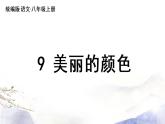 第9课《美丽的颜色》课件 2021--2022学年部编版八年级语文上册