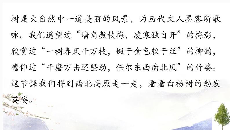 第15课《白杨礼赞》课件 2021--2022学年部编版八年级语文上册04