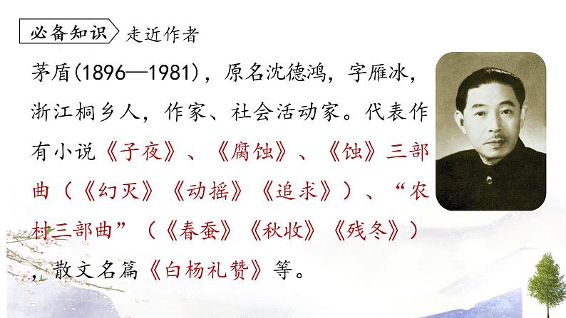 第15课《白杨礼赞》课件 2021--2022学年部编版八年级语文上册08