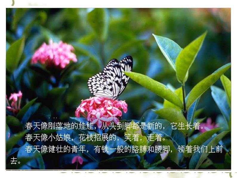 部编版语文七年级上册 第1课《春》课件 （20张PPT）03