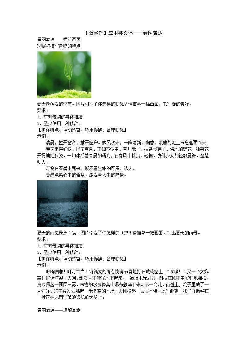 初中语文作文技法 1.3微写作——应用类文体——看图表达 试卷01
