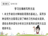 部编版八年级语文上册 第5单元 21《蝉》第2课时PPT课件