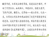 部编版八年级语文上册 第3单元 《名著导读：红星照耀中国》PPT课件