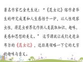 部编版八年级语文上册 第5单元 名著导读：《昆虫记》PPT课件