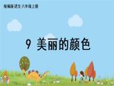 部编版八年级语文上册 第2单元 9《美丽的颜色》PPT课件