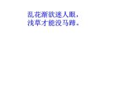 人教部编版七年级上册1 春图片ppt课件