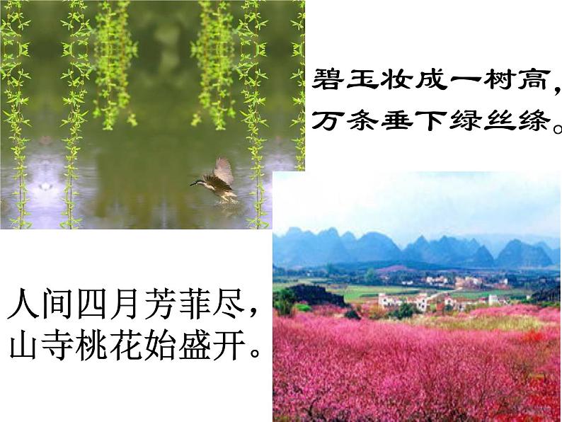 人教部编语文七年级上 春1 课件02