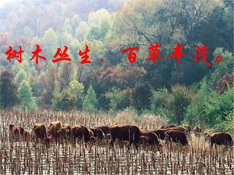 人教部编语文七年级上 古代诗歌四首1 课件第4页