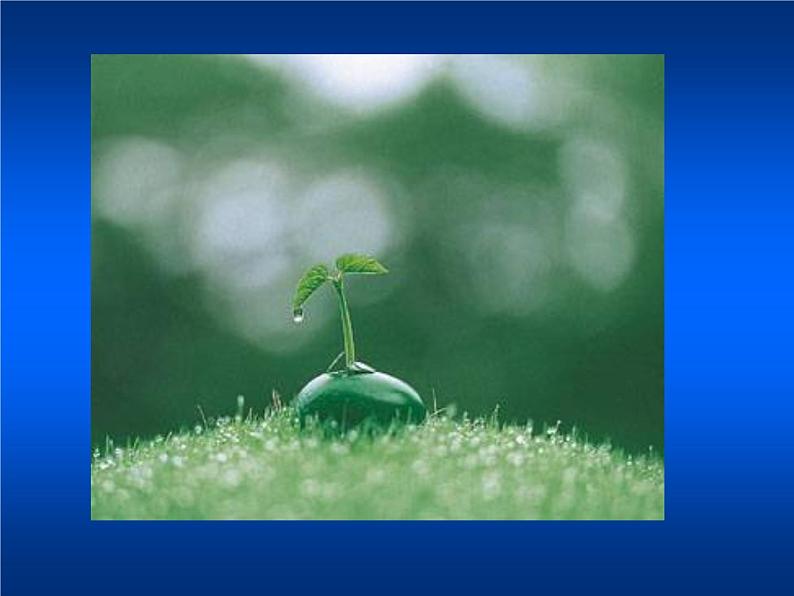 人教部编语文七年级上 雨的四季1 课件04