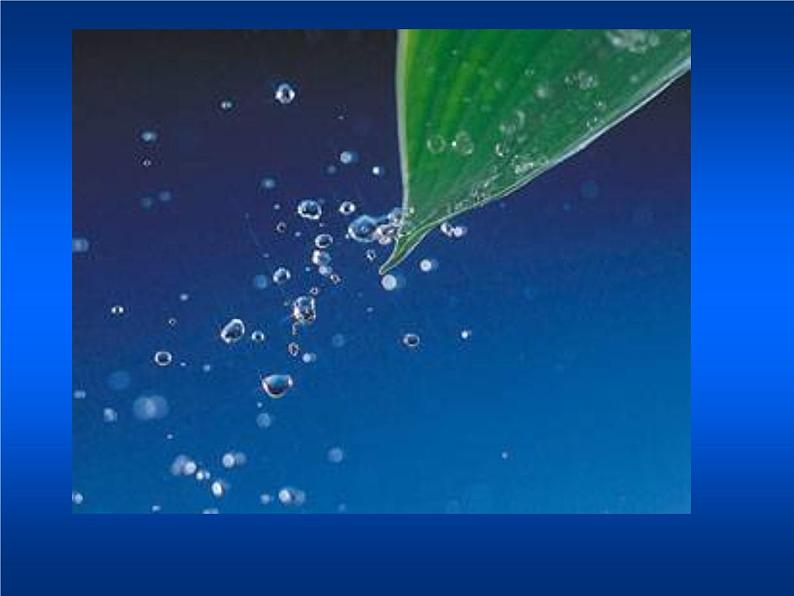 人教部编语文七年级上 雨的四季1 课件05