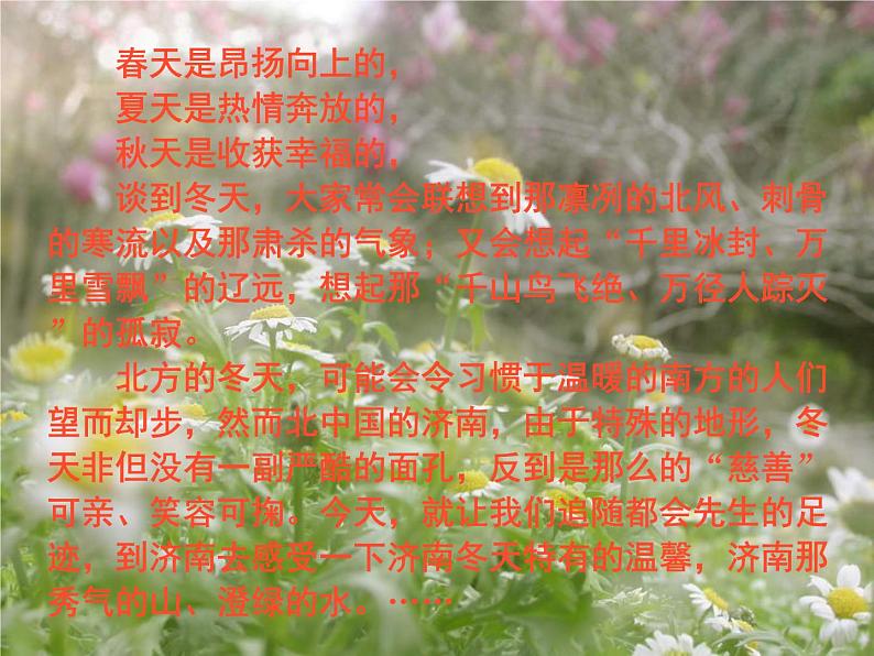 人教部编语文七年级上 济南的冬天5 课件03