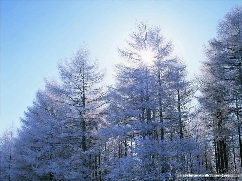 人教部编语文七年级上 济南的冬天7 课件第4页